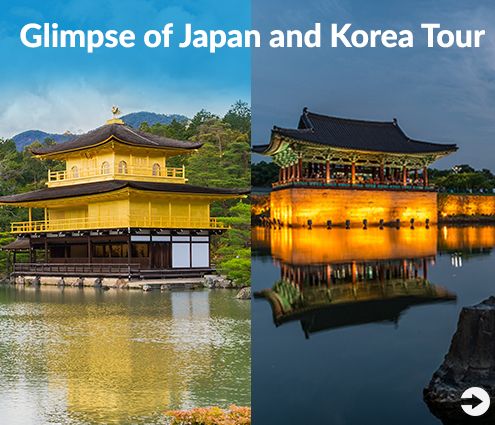 Glimpse of Japan and Korea 2019, 13 Day Tour