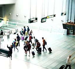 Travel Insurance