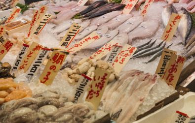 What makes the best sushi? - JapanCierge