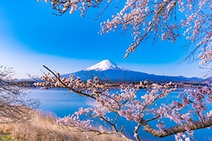 Lake Kawaguchi