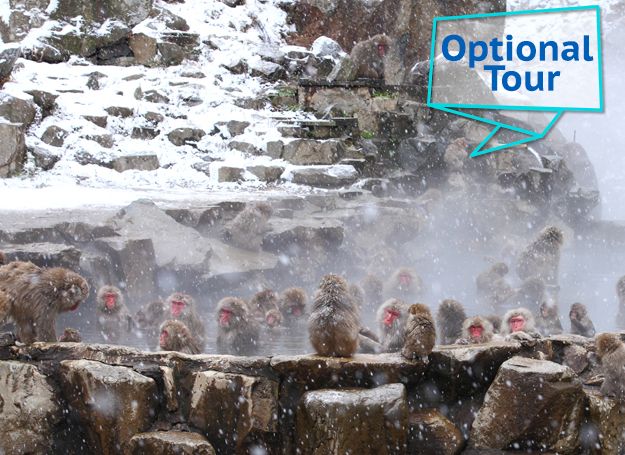 2 day tour in Nagano with Onsen
