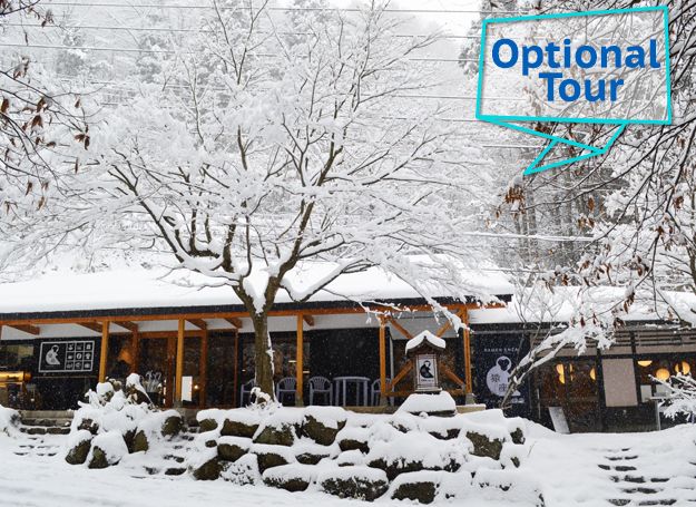 1 day tour in Nagano