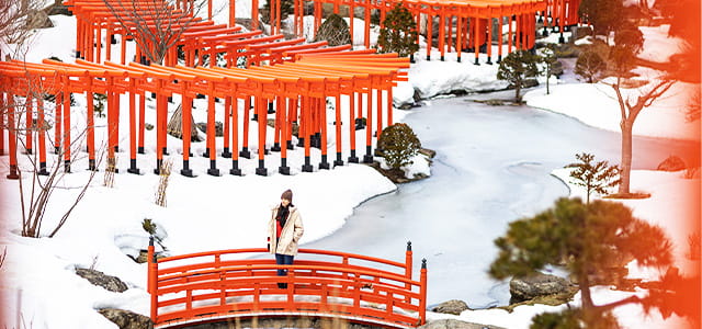 Winter Aomori A Journey of History and Art