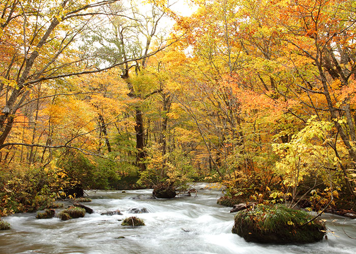 Oirase Stream in autumn