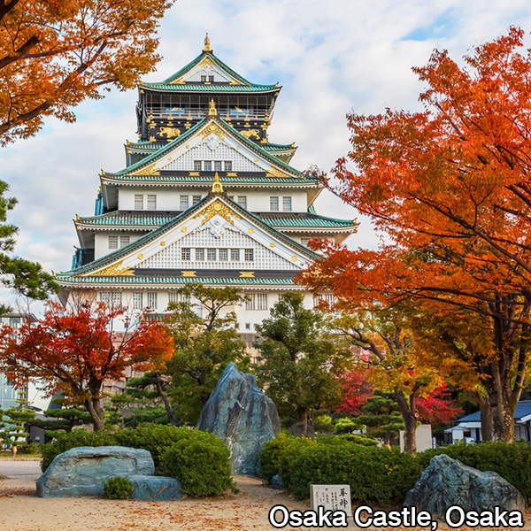 Osaka Castle and autumn leaves