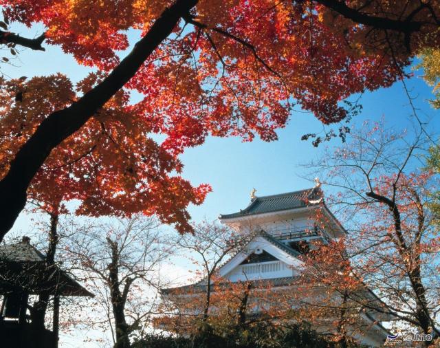 Kaminoyama Onsen