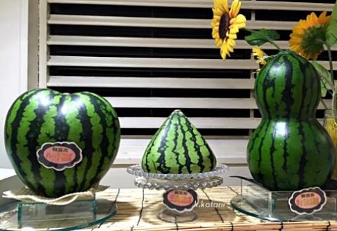 Japanese Watermelon