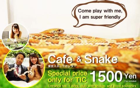 Snake Cafe in Tokyo
