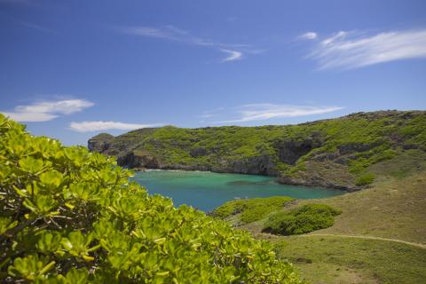 Ogasawara Islands