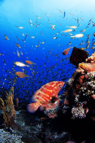 Kerama Islands