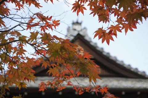 Tenju-an