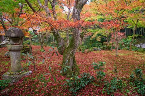 Enkoji
