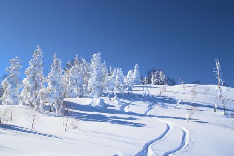 Appi Kogen Ski Resort