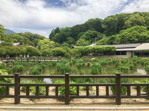 Dazaifu
