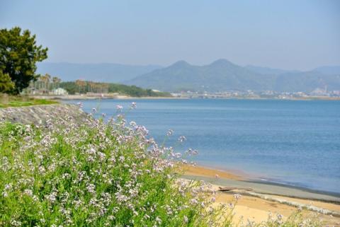 Shika Island