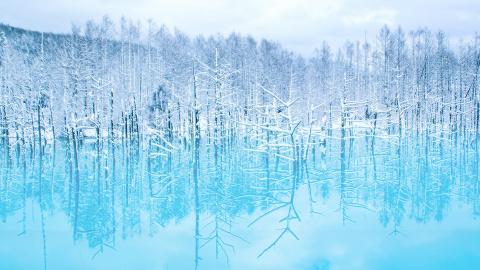 Biei in Hokkaido