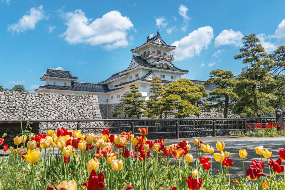 Toyama Castle
