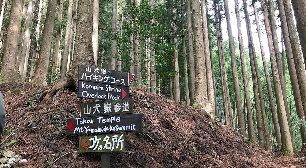 Yamainudake hiking trails