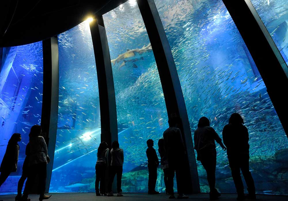 Yokohama Hakkeijima Sea Paradise