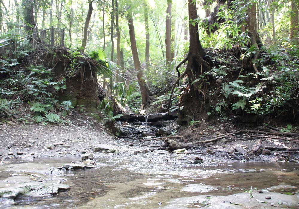 Jingaoka Valley Park