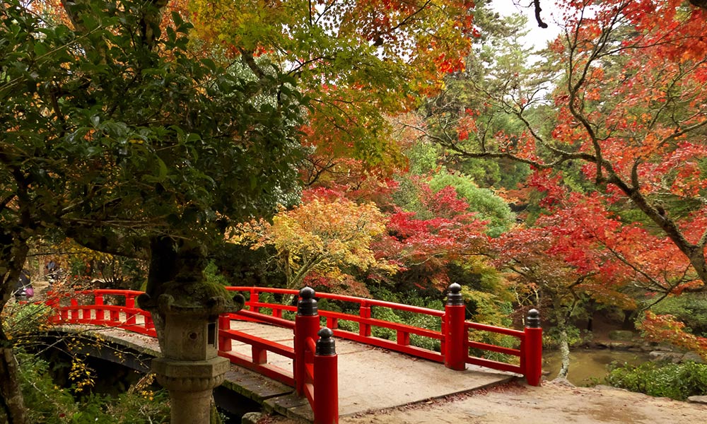 Momijidani Park