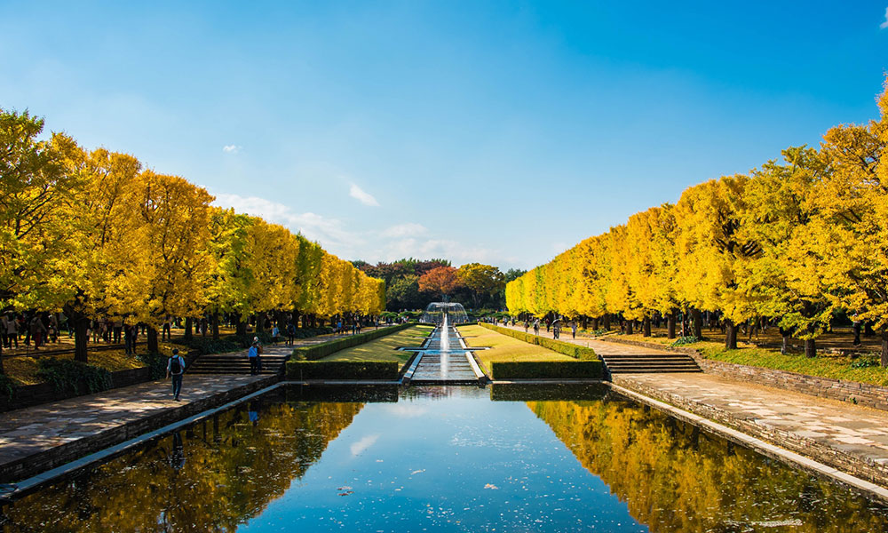showa commemorative park