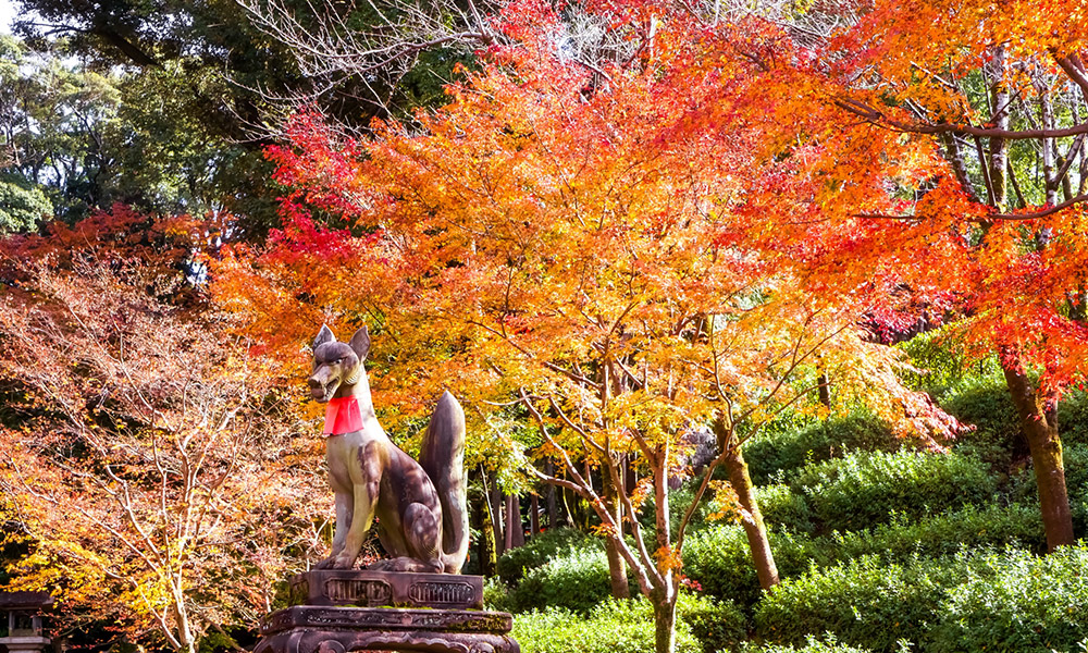 Fushimi Inari Shrine