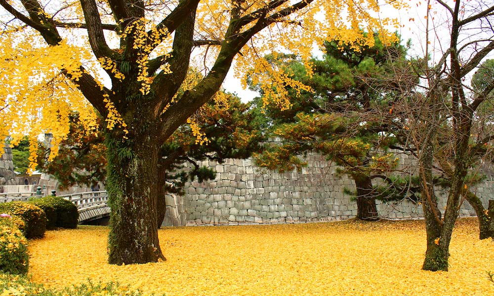Nijo Castle