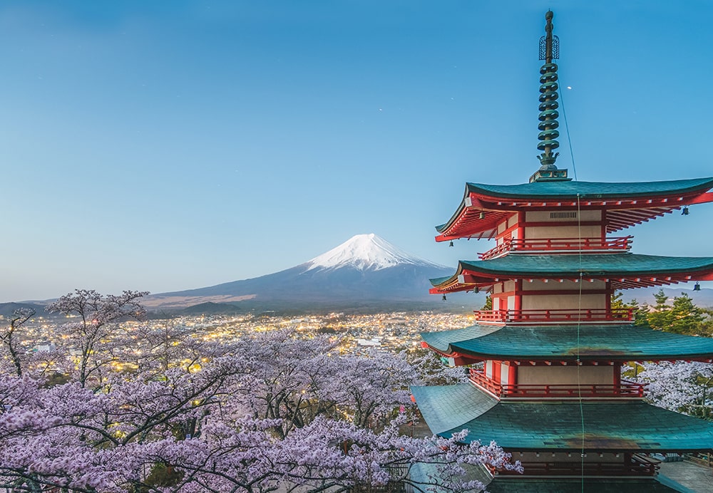 Sakura Festival