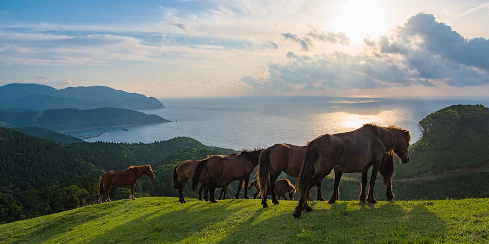 Places to go in Miyazaki: Toi Misaki