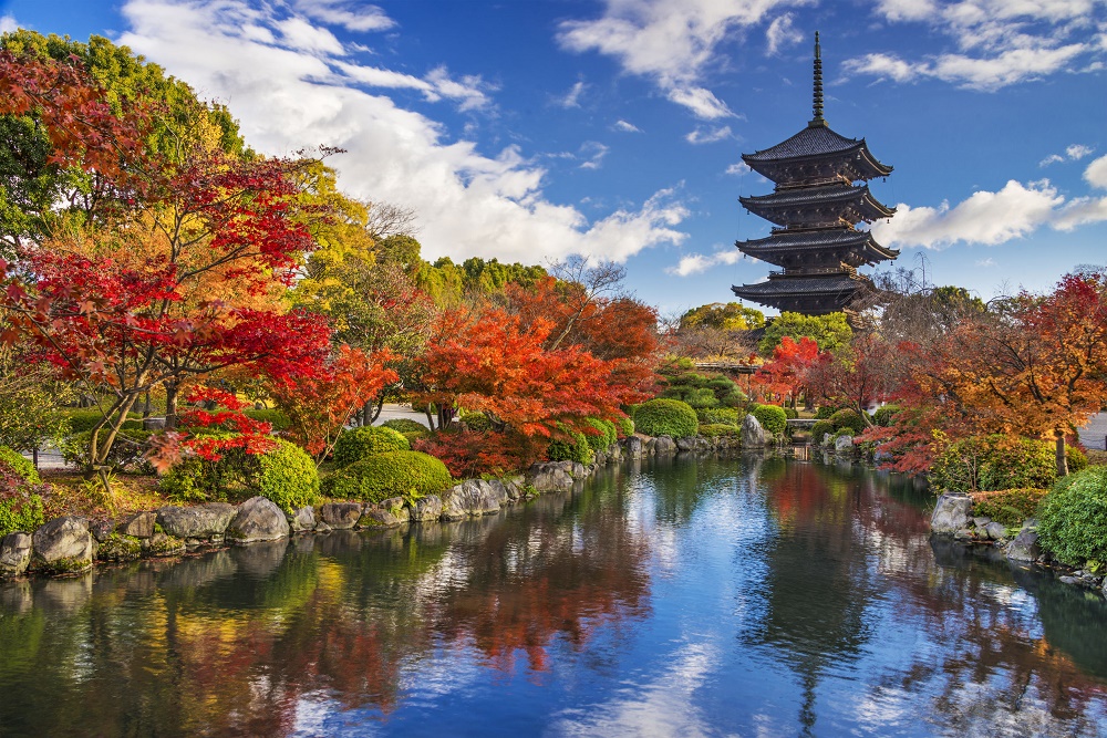 Japan Prologue, 7 Days, Private Tour <br><br>