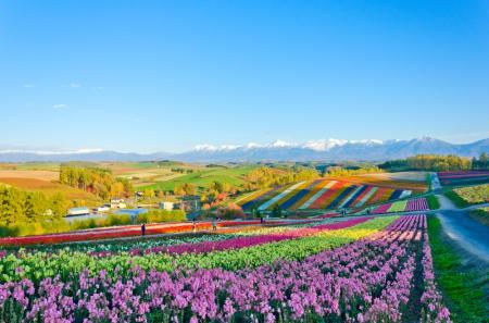 Discover Hokkaido