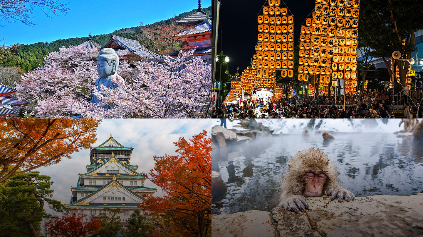 Checkout our Japan Quiz!