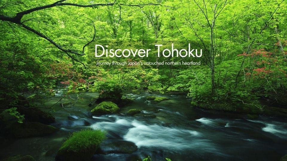 New 2026 Tours Available