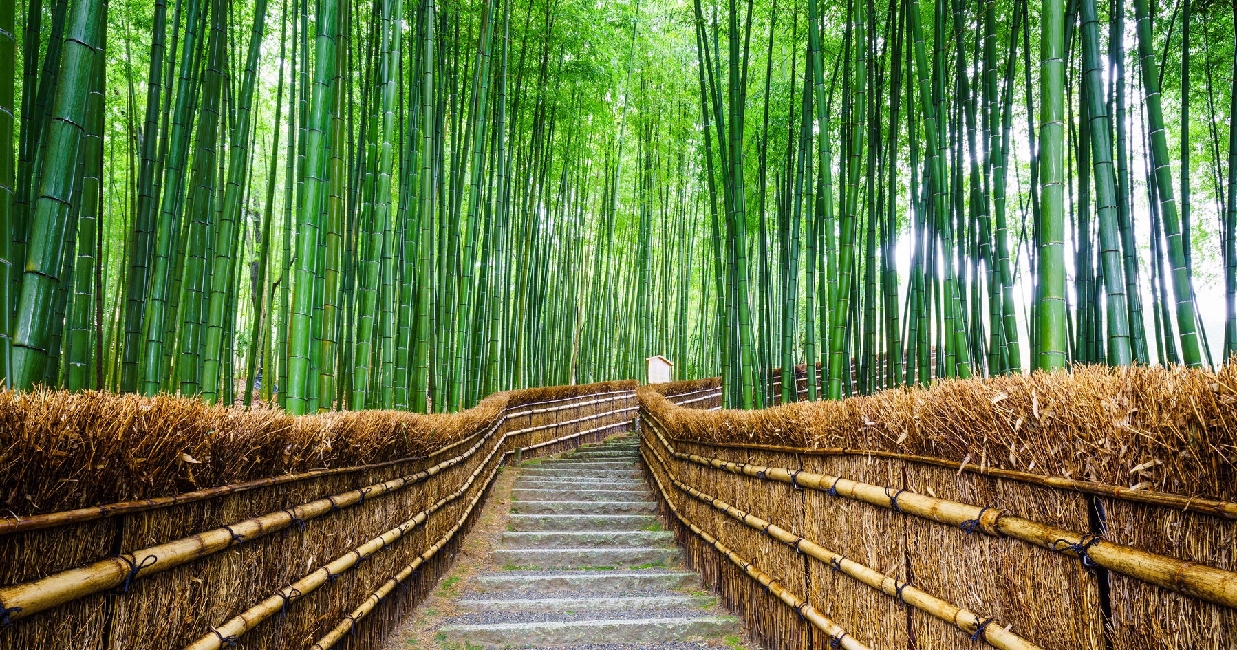 Kyoto