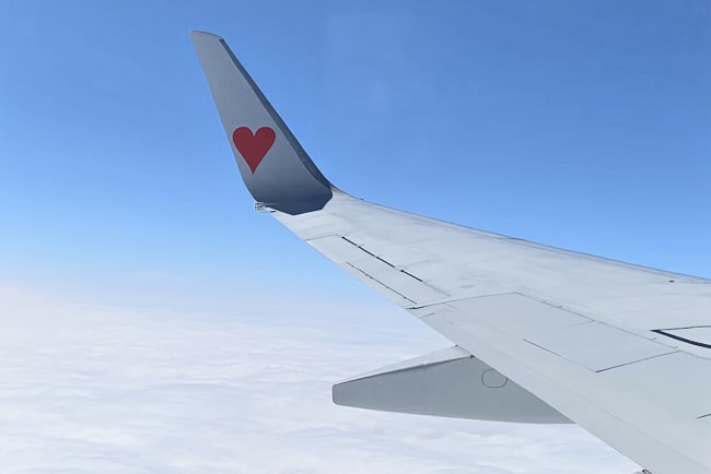 Flight Search