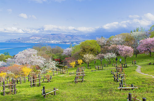Sapporo