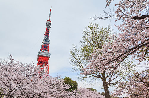 Tokyo