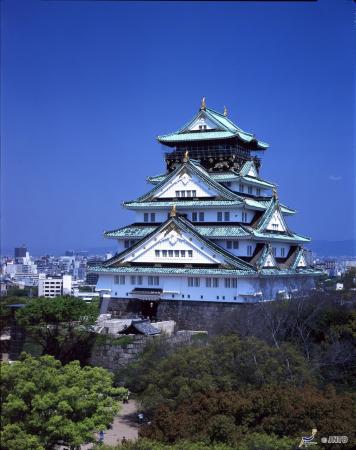Downtown Osaka Walking and Food Tour