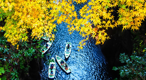 Takachiho Gorge - Japan’s Most Spectacular Views