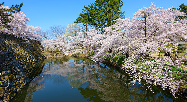 Hirosaki Castle - Japan’s Most Spectacular Views