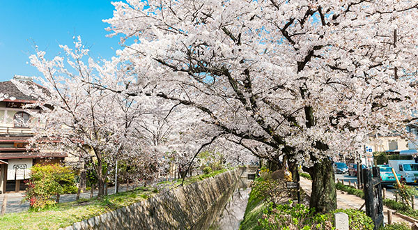 Goryokaku - Japan’s Most Spectacular Views