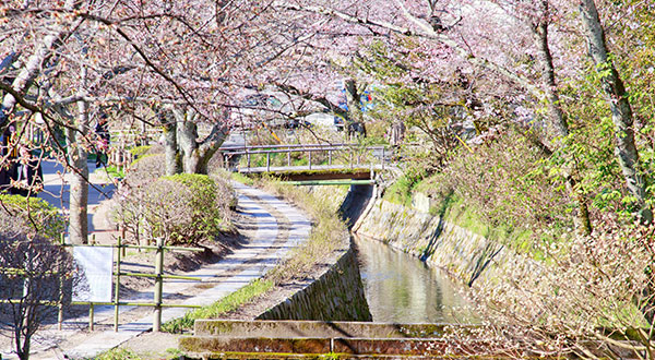 Goryokaku - Japan’s Most Spectacular Views