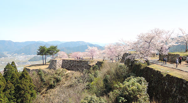 Takeda Castle Ruins - Japan’s Most Spectacular Views
