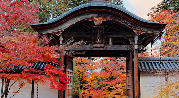Arashiyama - Japan’s Most Spectacular Views