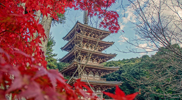 Daigo-ji Temple - Japan’s Most Spectacular Views