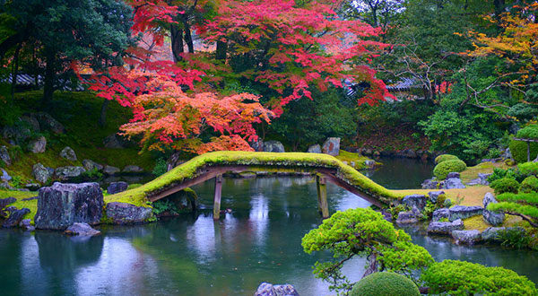 Daigo-ji Temple - Japan’s Most Spectacular Views