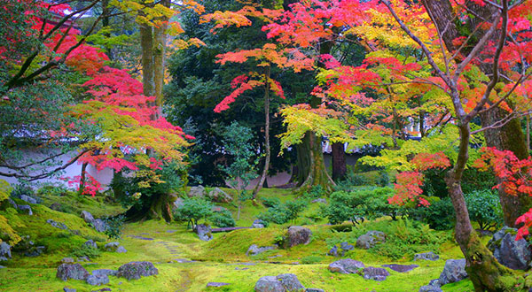Daigo-ji Temple - Japan’s Most Spectacular Views