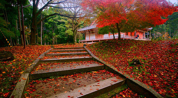 Daigo-ji Temple - Japan’s Most Spectacular Views