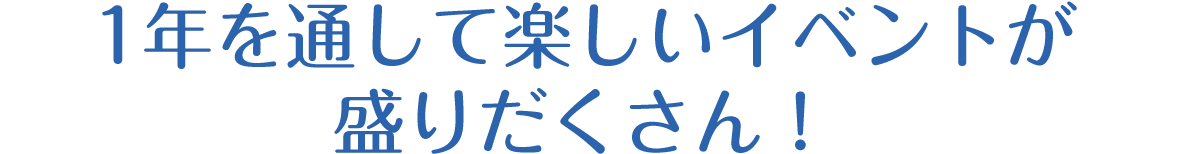 マラソン,ガーデンフェスティバル,スターウォーズ,ハローウィーン,ワインフェスティバル,クリスマス,ニューイヤーカウントダウン